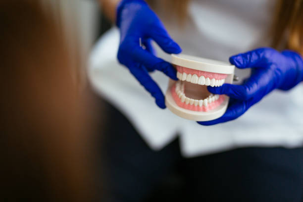 Trusted Seth Ward, TX Holistic Dental Care Services Experts